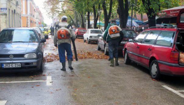 „Duvači“ lišća