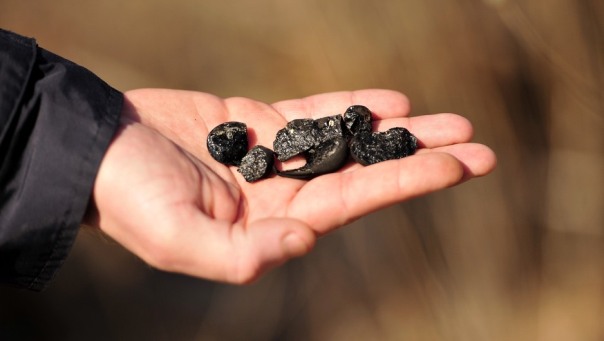 Iz hercegovačkog kamena teče bitumen, prvi nagovještaj 