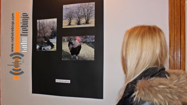 Uspješno završen projekat „Zima u bojama kreativnosti“