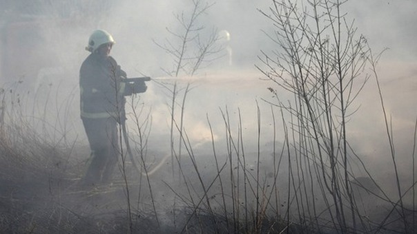 Požari prijetili plantažama u Popovom polju
