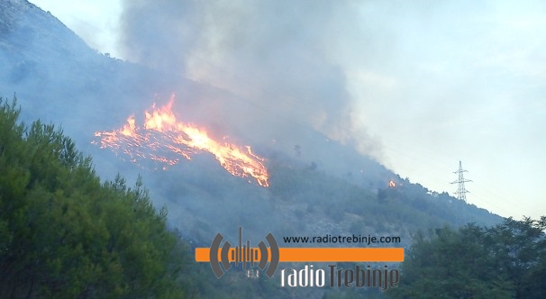 Izbio požar u Gučini