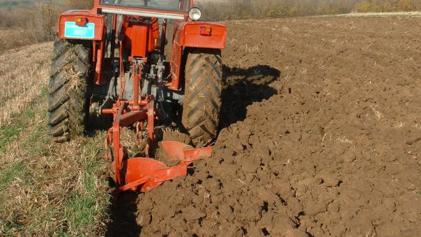 Zasijano koliko i lani