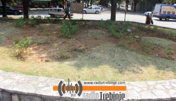 Шта значи цвијетно 88 на Ложиони?