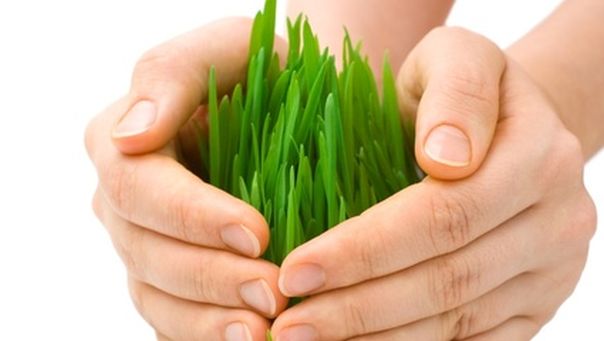 Visoke temperature prijete i štetama u poljoprivredi