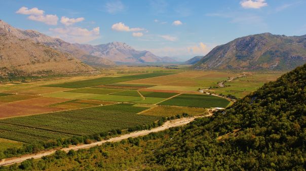 Прекогранична сарадња БиХ и Хрватске: Попово поље ће хранити Дубровник