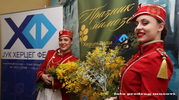 Празник мимозе и ове године заобилази Требиње?