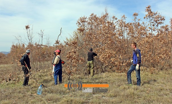 Почело чишћење терена за аеродром Зупци