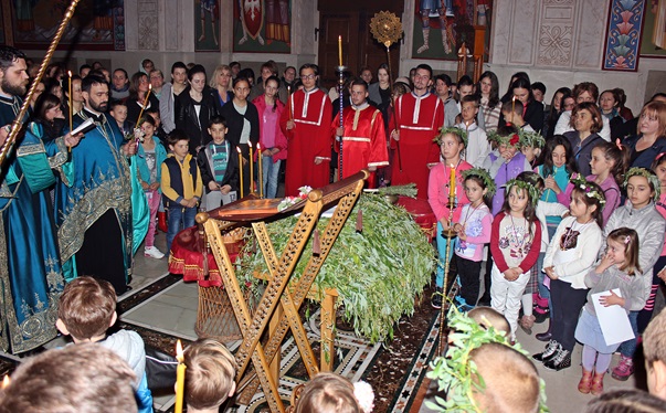 Освећене врбине гранчице