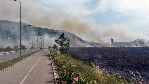 Изгорио воћњак на Растоцима