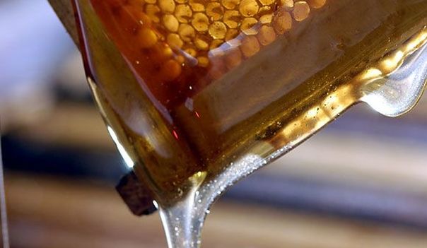 Кинески и патворени мед пријете домаћим пчеларима