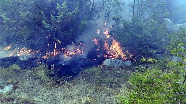 Угашен пожар у Мионићима