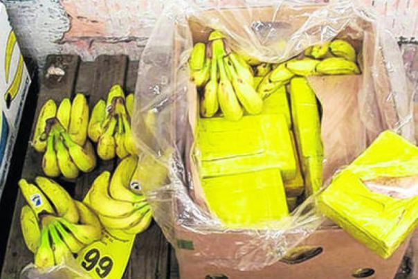У контејнерима за банане стигло 900 килограма кокаина у Севиљу