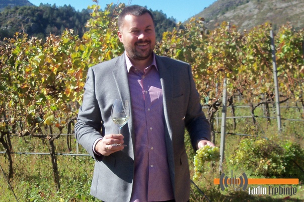 Овогодишња берба обећава велика вина