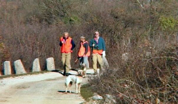 Угрожене птице из Херцеговине храна у италијанским ресторанима (ВИДЕО)