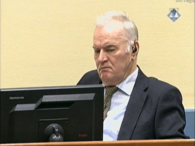 Posljednji dan iznošenja završnih riječi odbrane generala Mladića