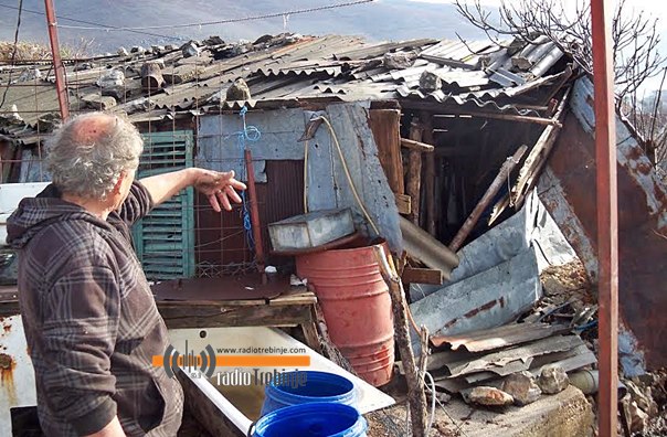 Изгорјели прасићи