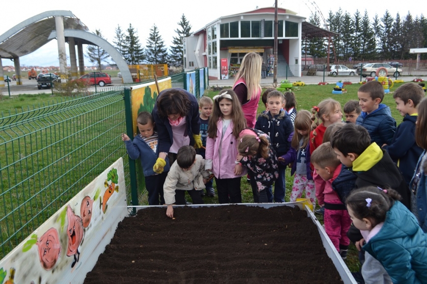 Малишани у дворишту вртића засадили поврће