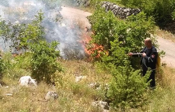 Пожар гута ниско растиње и шуму: Ватра се шири према граду