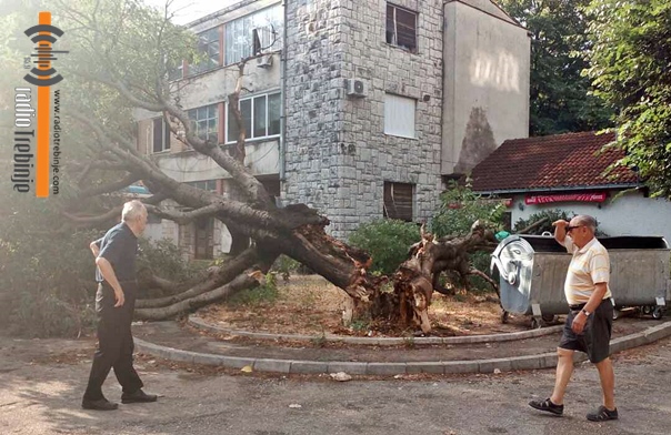 ФОТО: Вјетар срушио стару кошћелу