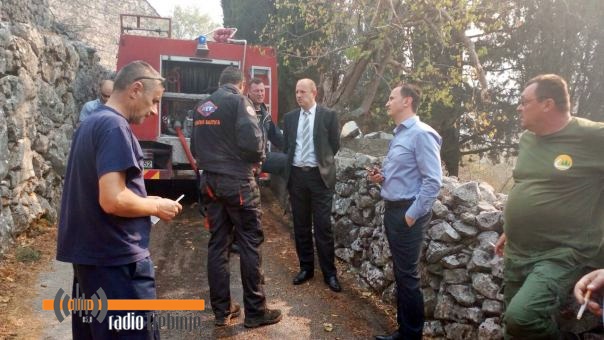 Петровић: Пожари  подметнути, за пиромане високе новчане казне