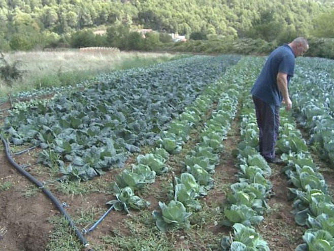 У Херцеговини ускоро изградња савремених система за наводњавање (ВИДЕО)