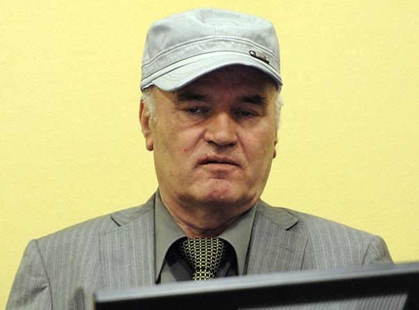 Лукић: Генерал Младић осуђен и за оно за шта није ни оптужен