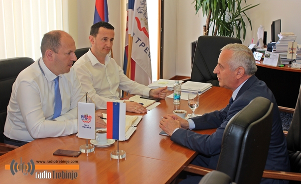 Конзул Републике Србије на пријему код градоначелника Петровића