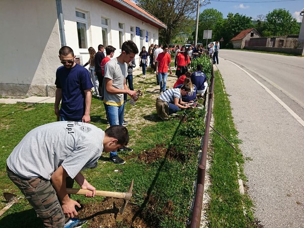 Млади засадили руже у двориштима подручних школа