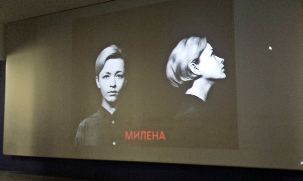 Милена Дравић – дива и културна чињеница наших простора