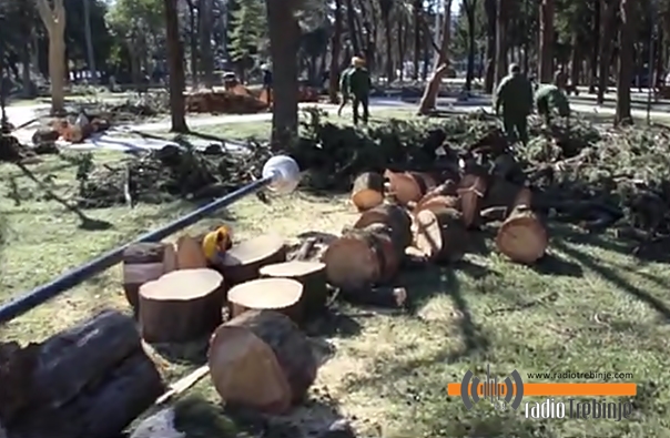 Све службе на ногама: ОТКЛАЊАЈУ СЕ ПОСЉЕДИЦЕ ОЛУЈНОГ НЕВРЕМЕНА (ВИДЕО)