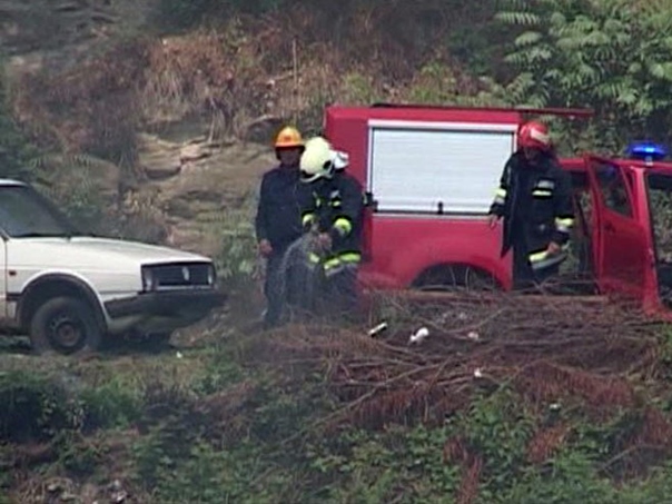 Локализован пожар код Љубиња, оштећено неколико електро-стубова