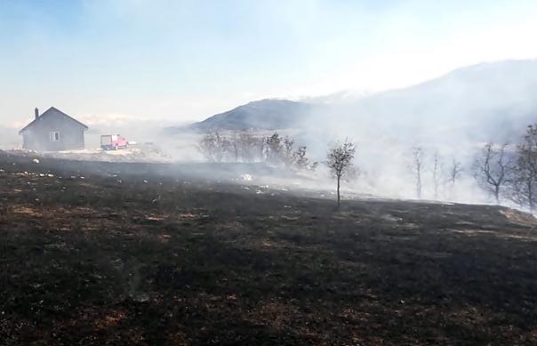 Ватра захватила борову шуму