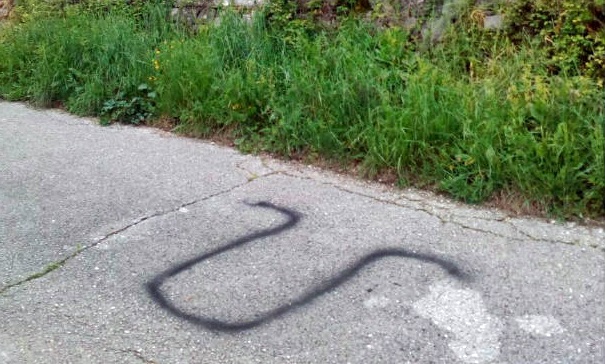 У Дврсници осванули усташки графити