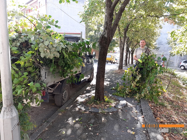 20191014_102738.jpg (395 KB)