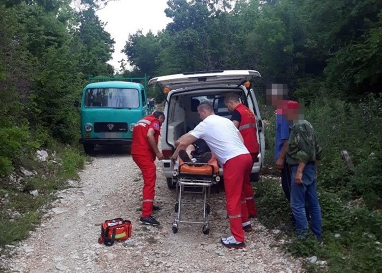 Регистрована два уједа змија у Требињу