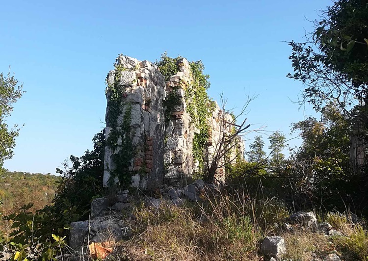 milicevic-ravno-2.jpg (204 KB)