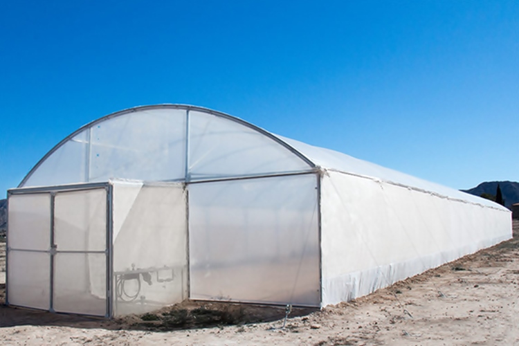 plastenik.jpg (122 KB)