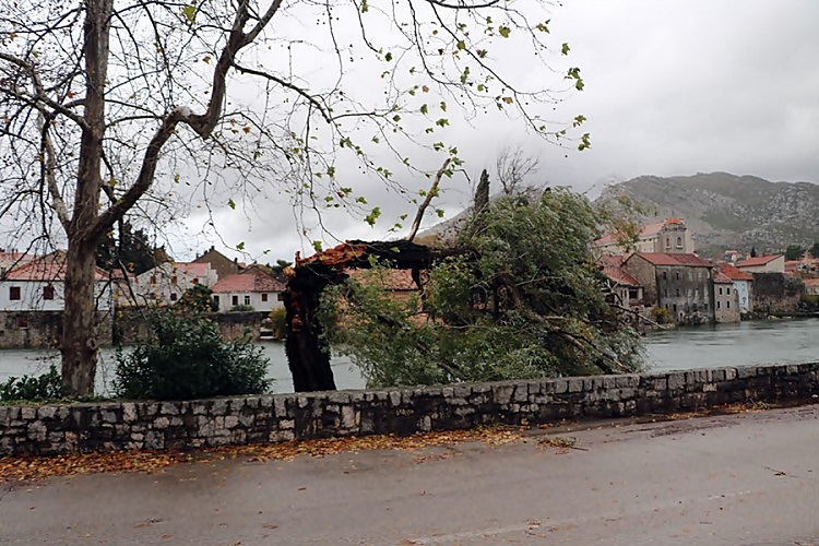 Вјетар поломио стабло, вода ушла у куће