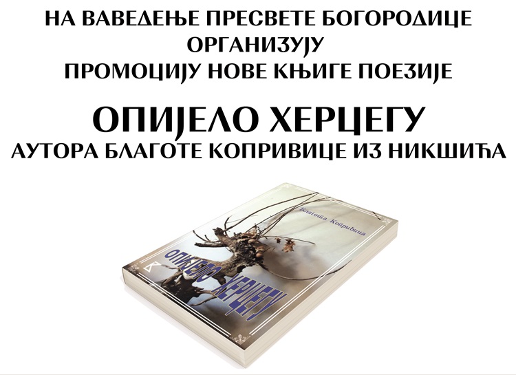 Народна библиотека: Вечерас промоција књиге 