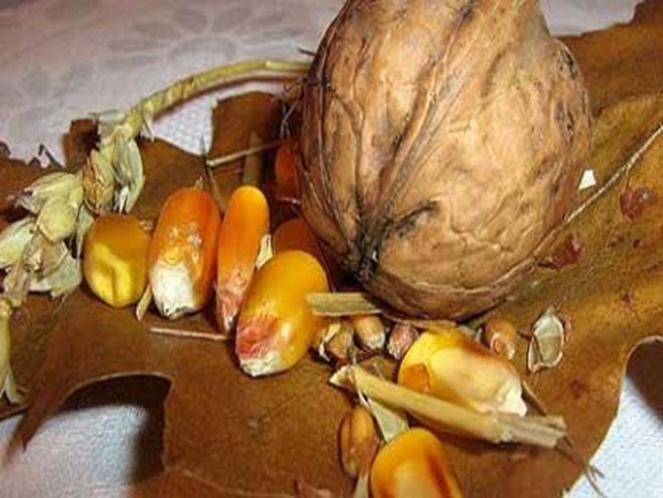 Данас Туциндан и празник Оци: Шта кажу обичаји?