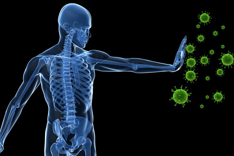 СЕДАМ намирница које ће „набилдати“ имунитет