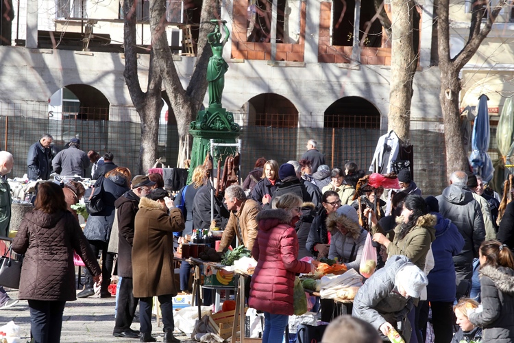 proljece-u-februaru-4.jpg (274 KB)