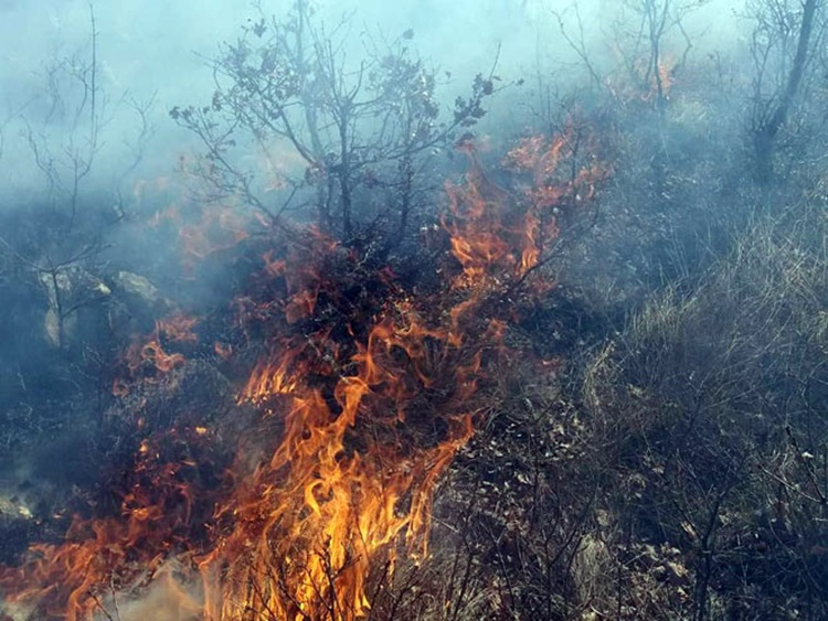  Активни пожари на више локација у источној Херцеговини
