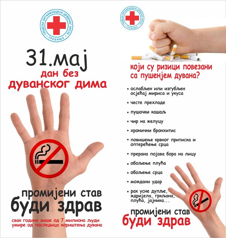 IMG-0b8b203c3e07fe06c05f3de6f4e2c4e6-V.jpg (170 KB)
