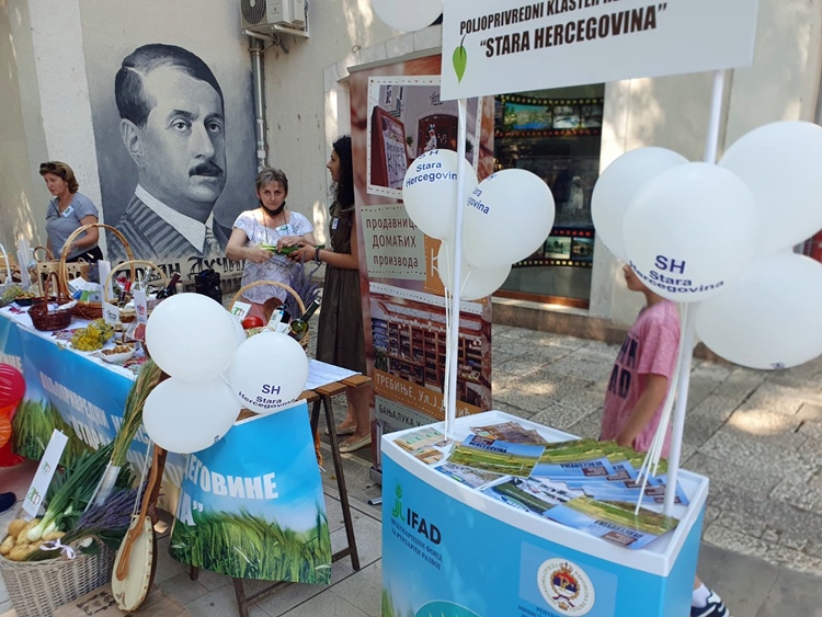 Промовисан пољопривредни кластер „Стара Херцеговина“
