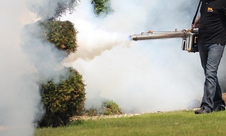 Вечерас и сутра запрашивање комараца