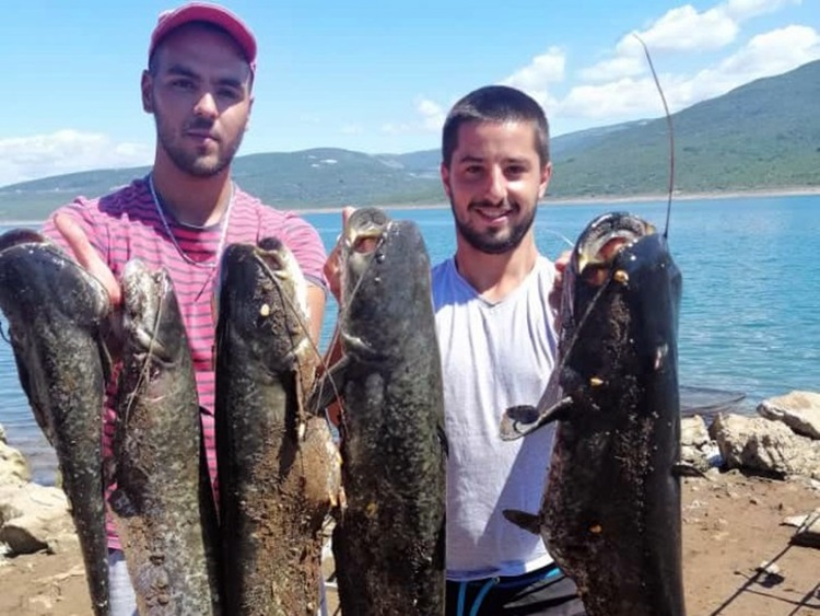 Билећа: Денда уловио десет сомова