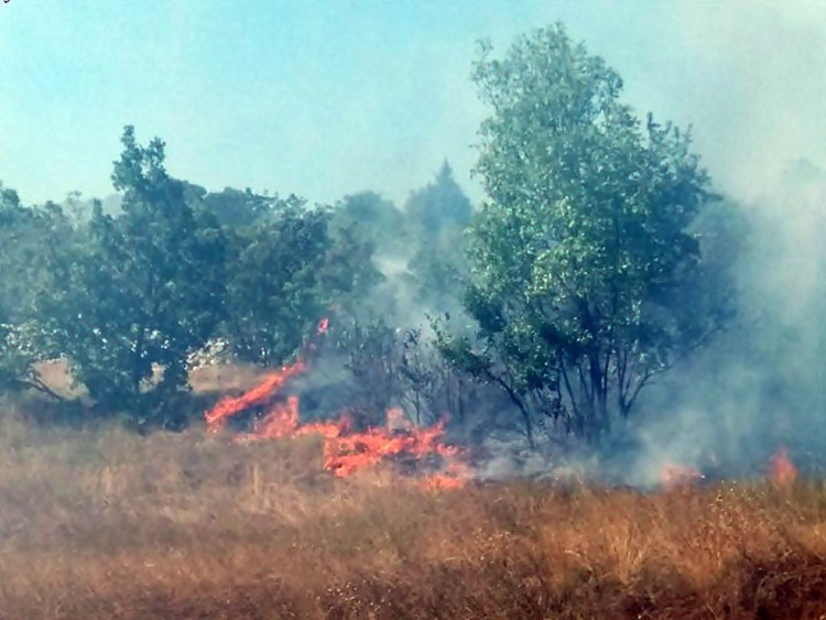 Билећа: Пожар у Коритима, куће одбрањене