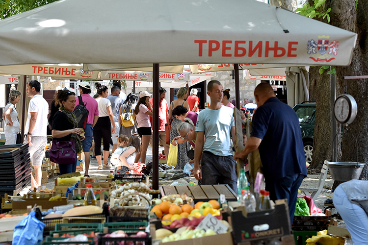 17 7 2022 (10).jpg (418 KB)