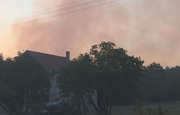 Велики шумски пожар у селу Горњи Давидовићи